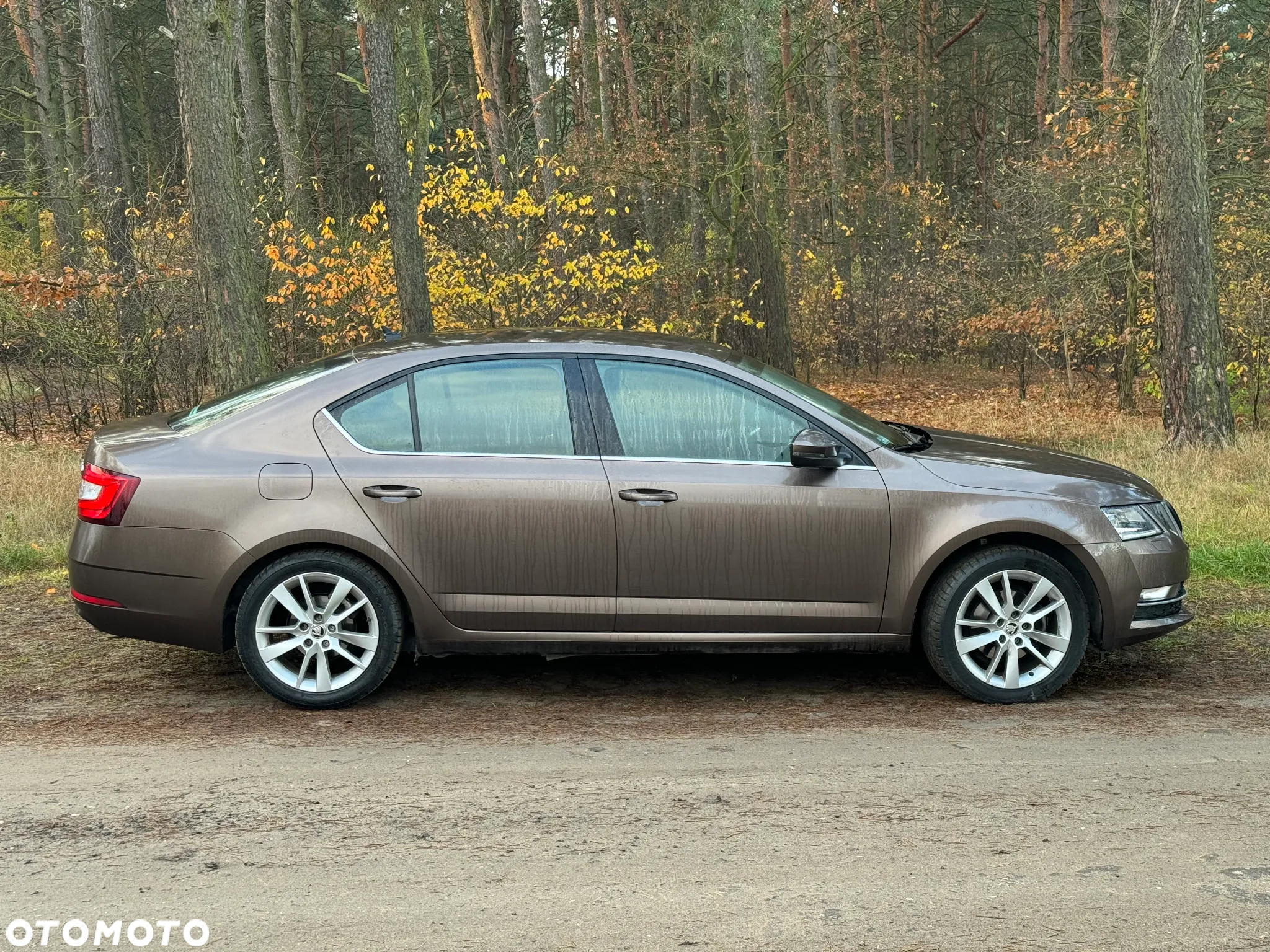 Skoda Octavia 1.4 TSI Style - 5