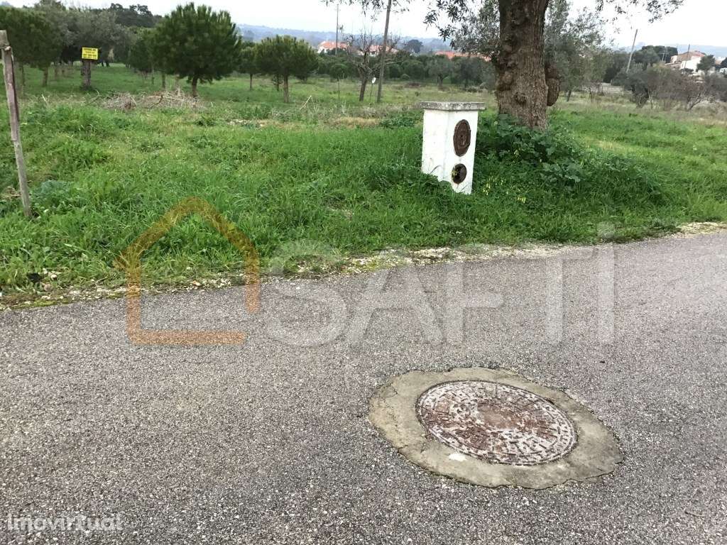 Terreno Rústico de 12.320m2, em zona sossegada com Montado e planta... - Grande imagem: 3/13
