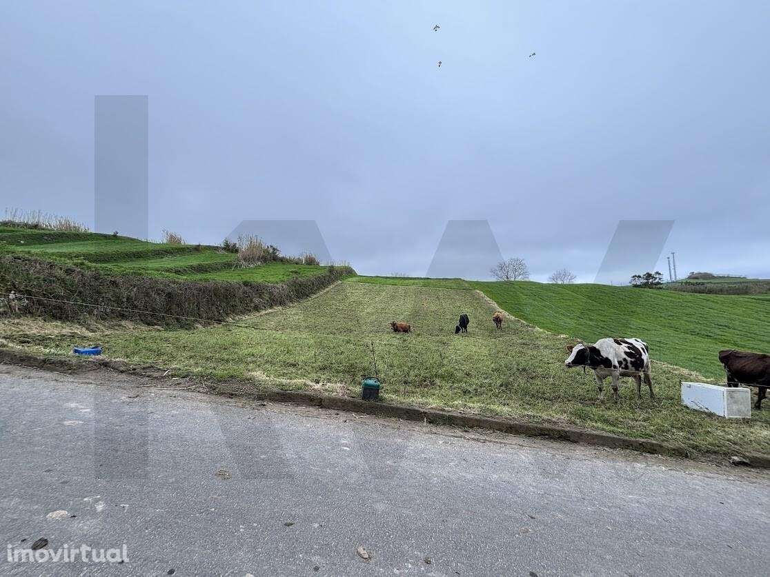 Terreno - Grande imagem: 4/6