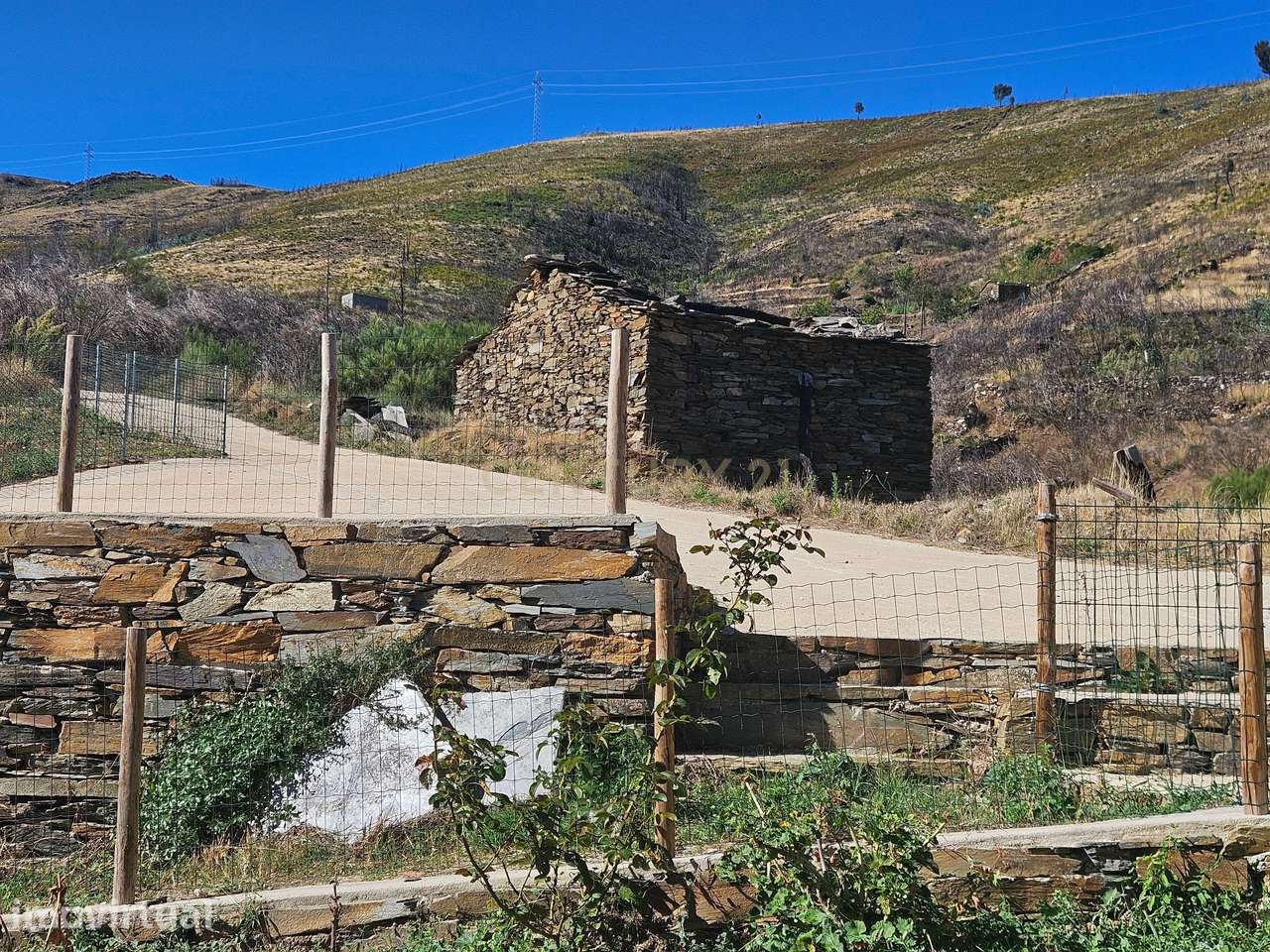 TERRENO COM CASA DE XISTO PARA RECUPERAR – SOITO DA RUIVA, SERRA DO AÇ - Grande imagem: 4/12