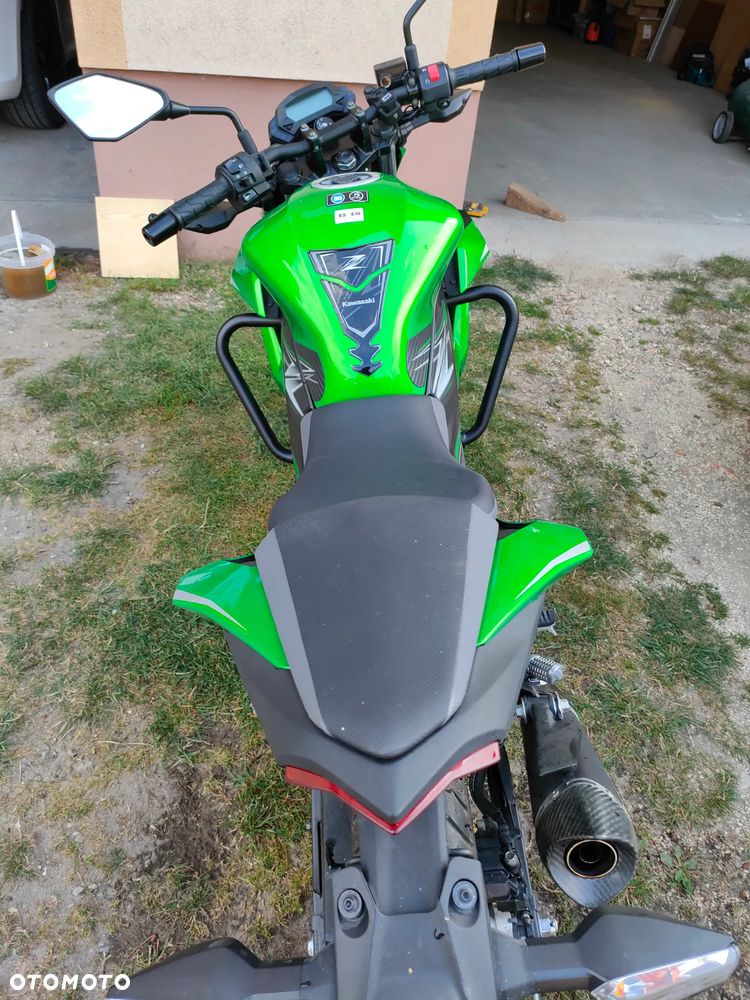 Kawasaki Z - 10