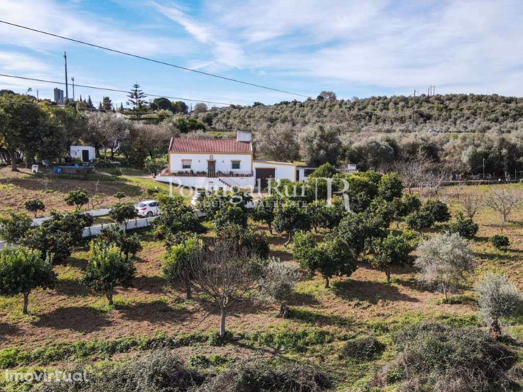 Quinta de 2 ha com moradia T3 em Vila Viçosa - Grande imagem: 2/51