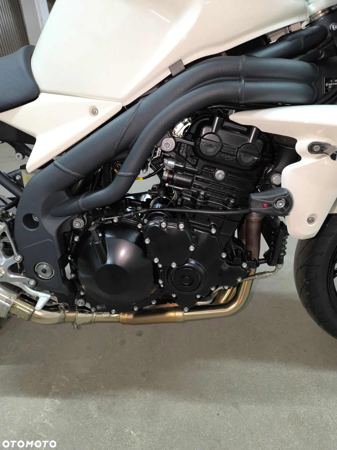 Triumph Speed Triple - 23