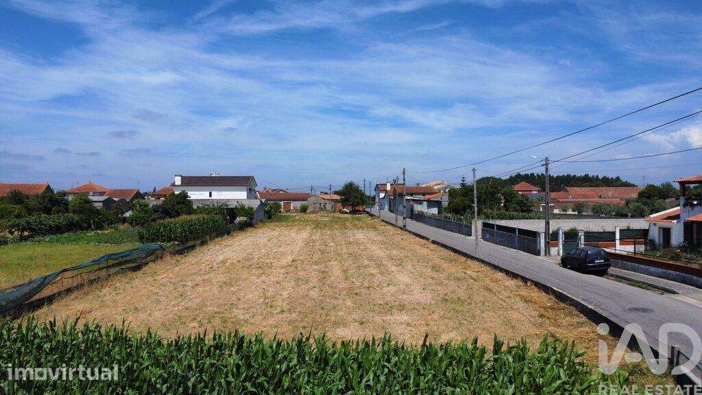 Terreno Agrícola em Requeixo, Nossa Senhora de Fátima e Nariz - Grande imagem: 5/10