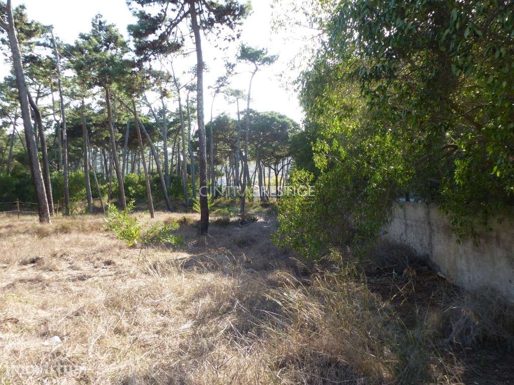 Terreno Premium com 1927,50m2 e Projeto Aprovado em Colares | Sintra - Grande imagem: 2/11