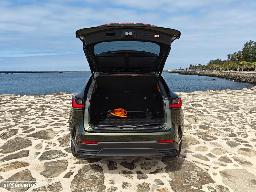 Lexus NX 450h+ Luxury - 15