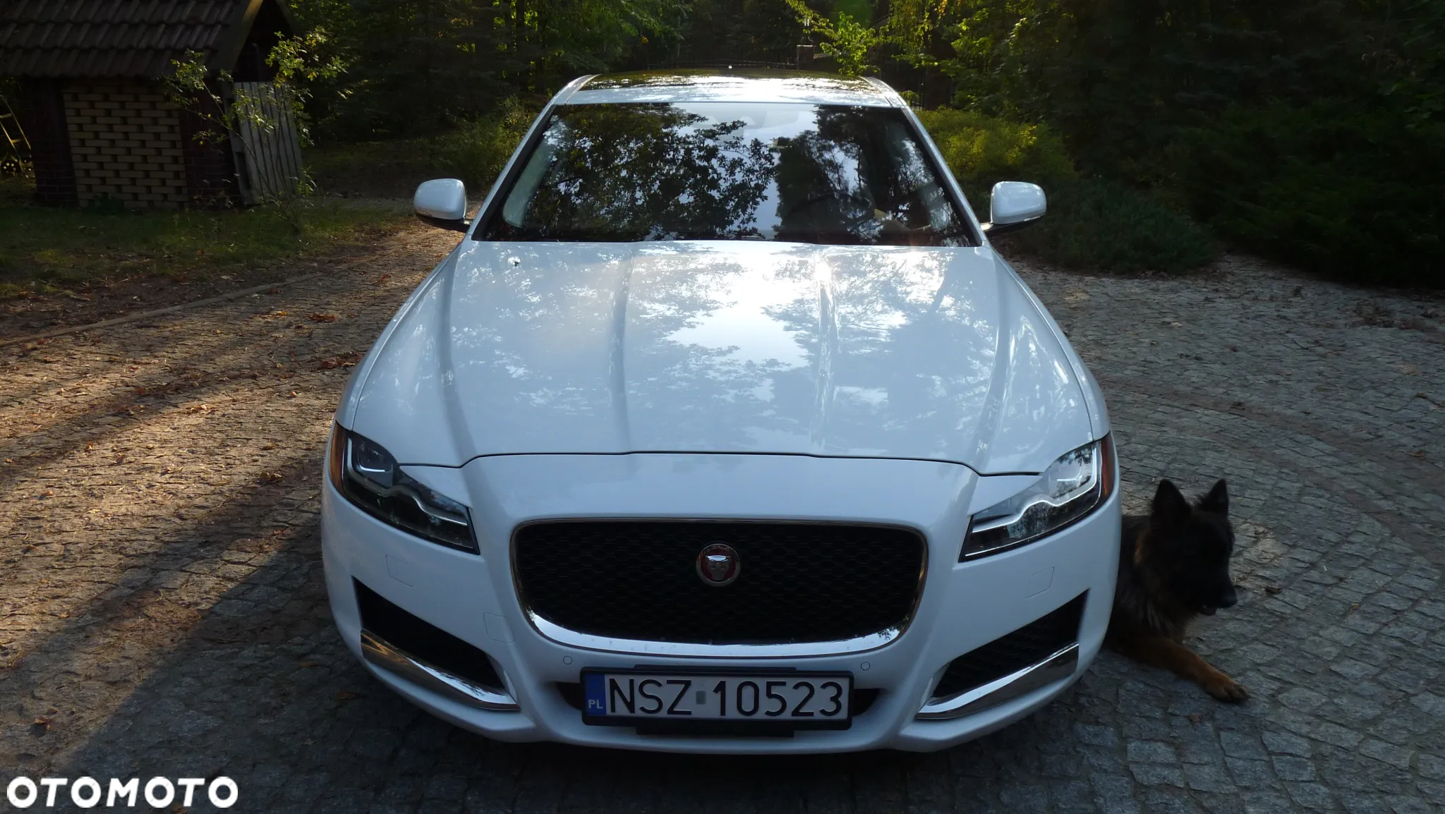Jaguar XF 35t AWD Portfolio - 3