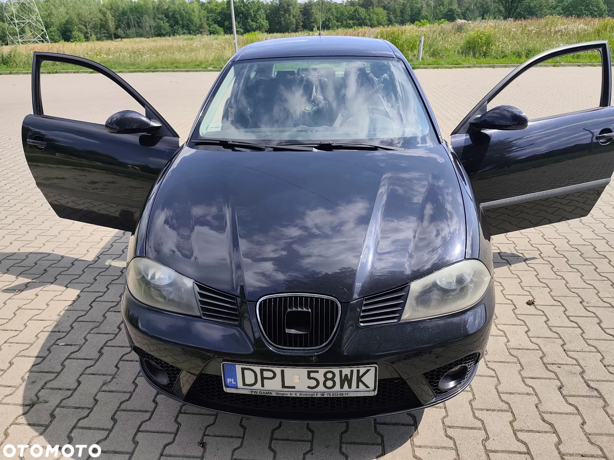 Seat Ibiza - 1