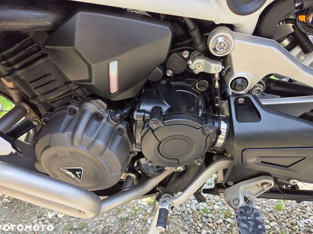 Triumph Tiger - 13