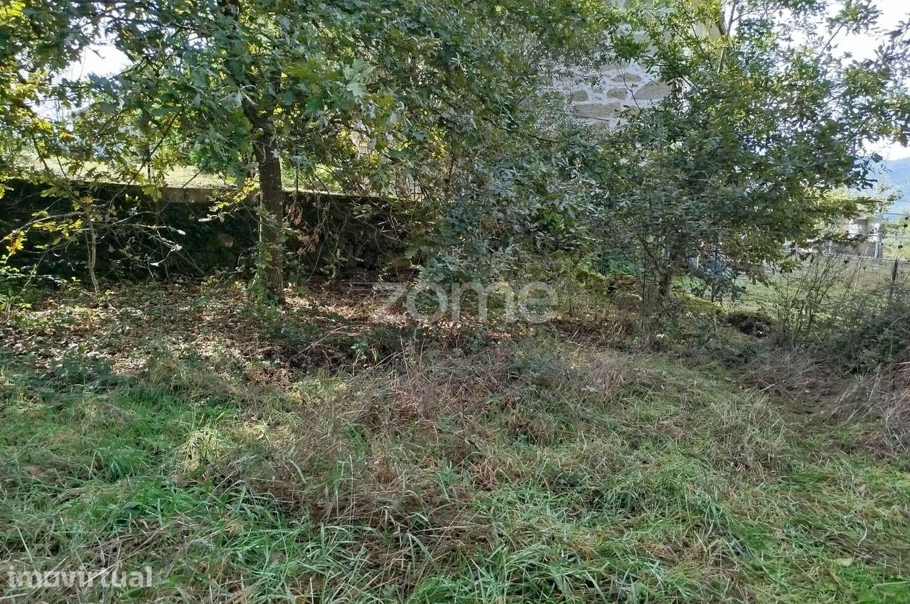 Dois lotes para construção com vários arvores de fruto, castalheiro... - Grande imagem: 5/54