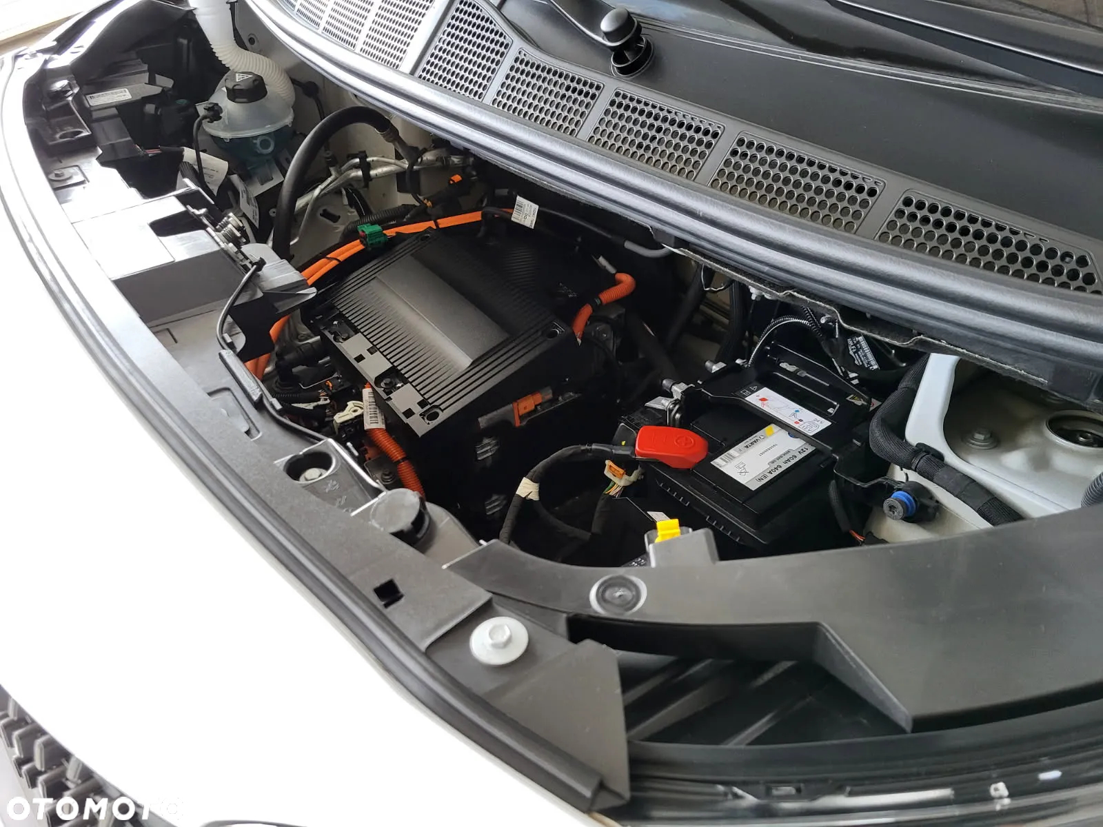 Fiat E-Scudo Furgon Lounge Maxi 136 KM 75 kWh - 7