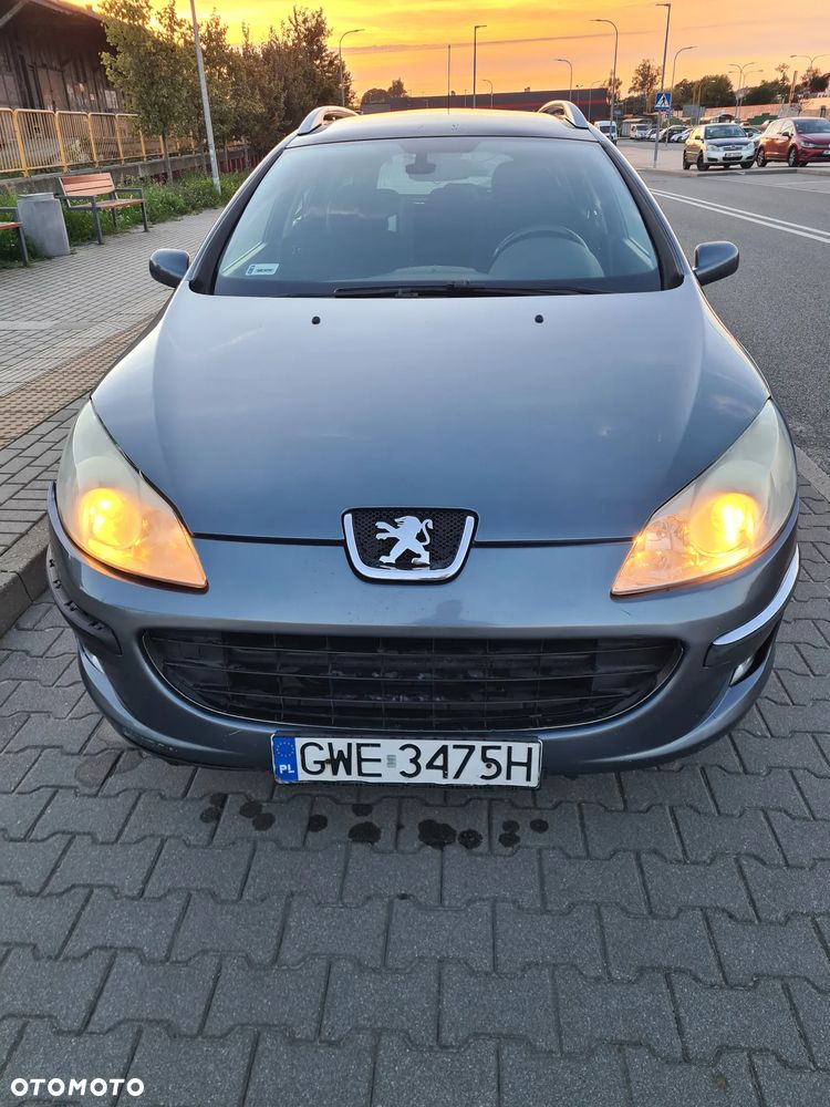 Peugeot 407 - 5
