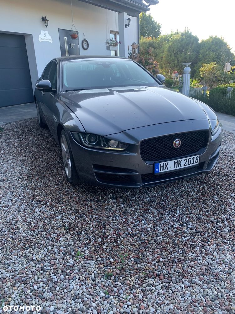 Jaguar XE - 15