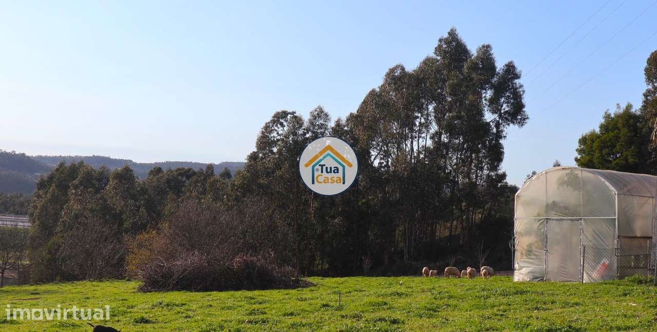 Terreno em Calendário com Viabilidade de Construção