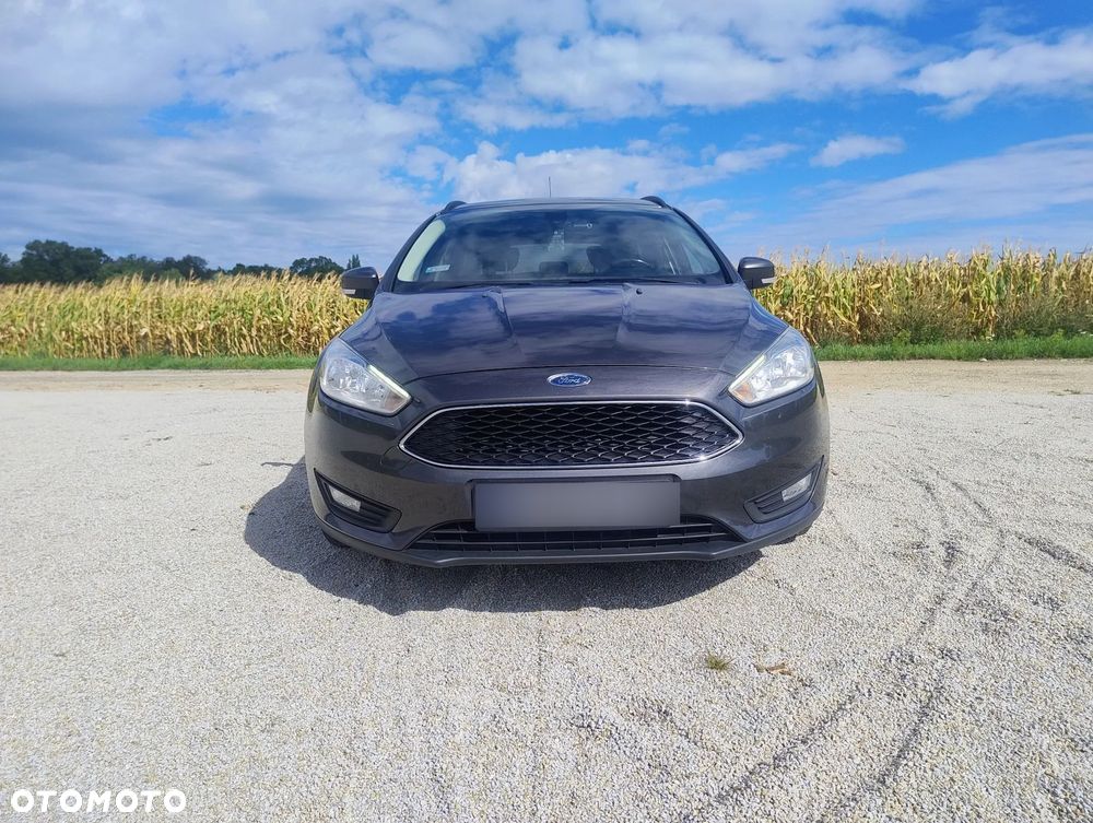 Ford Focus - 1