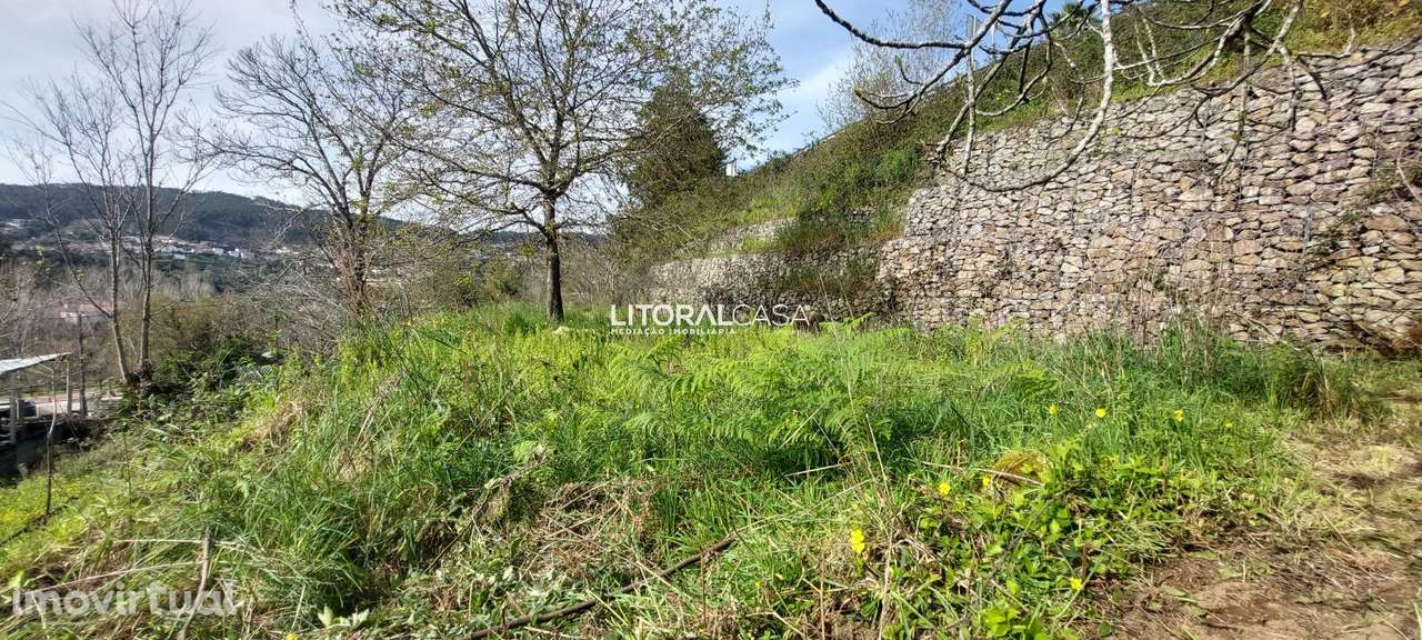 Terreno com ruína | Paradela - Grande imagem: 5/21