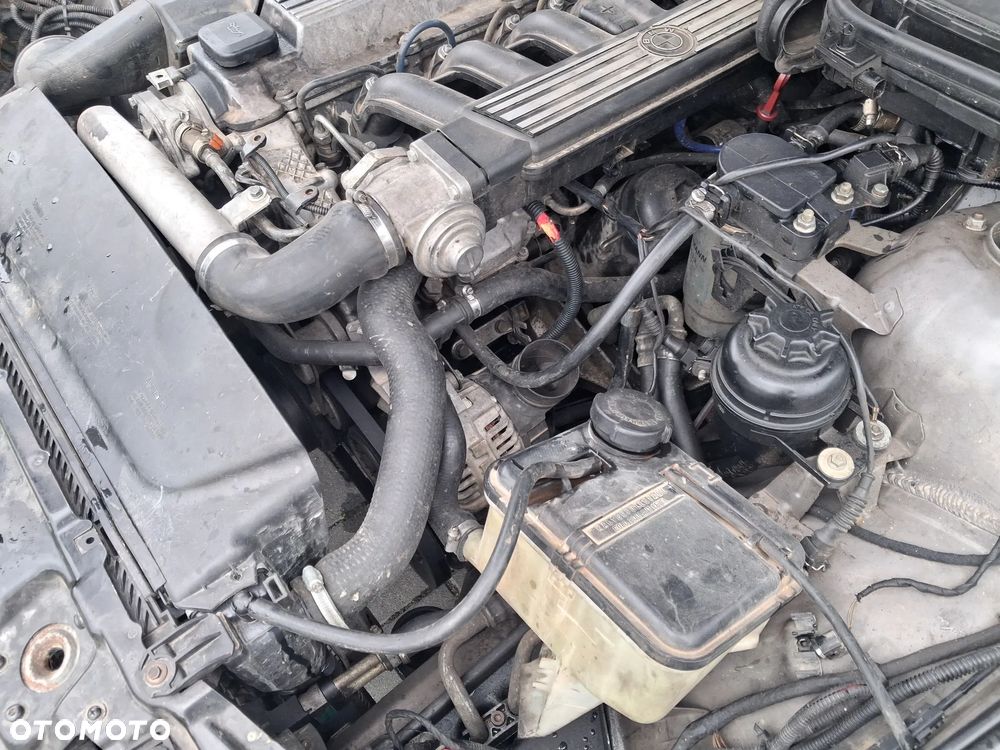 BMW 5 E39 silnik 2.5 TDS M51D25 143 KM skrzynia biegów 23001434452  S5D 2602 dyfer dyferencjał 33101428489  2,64 drzwi klapa maska zderzak błotnik Orientblau Metallic 317 alternator wtrysk przepustnica przepływomierz turbina alternator maglownica pompa wspomagania sprężarka klimatyzacji wentylator sterownik stacyjka moduł silniczek panel przewód wiązka radio konsola wyświetlacz tunel fotel fotele tapicerka skórzana skóra boczek podłokietnik szyba zwrotnica EGR chłodnica pas wzmocnienie lusterko lampa reflektor tłumik wydech halogen hak holowniczy klamka belka sanki mcperson amortyzator sprężyna felga zwrotnica blenda mikrostyk kierownica mechanizm zamek zacisk hamulcowy jarzmo klamka włącznik schowek lewarek wybierak osłona łapa poduszka zbiorniczek rura manetki kolektor pompa ABS NA CZĘŚCI wszystkie części - 20