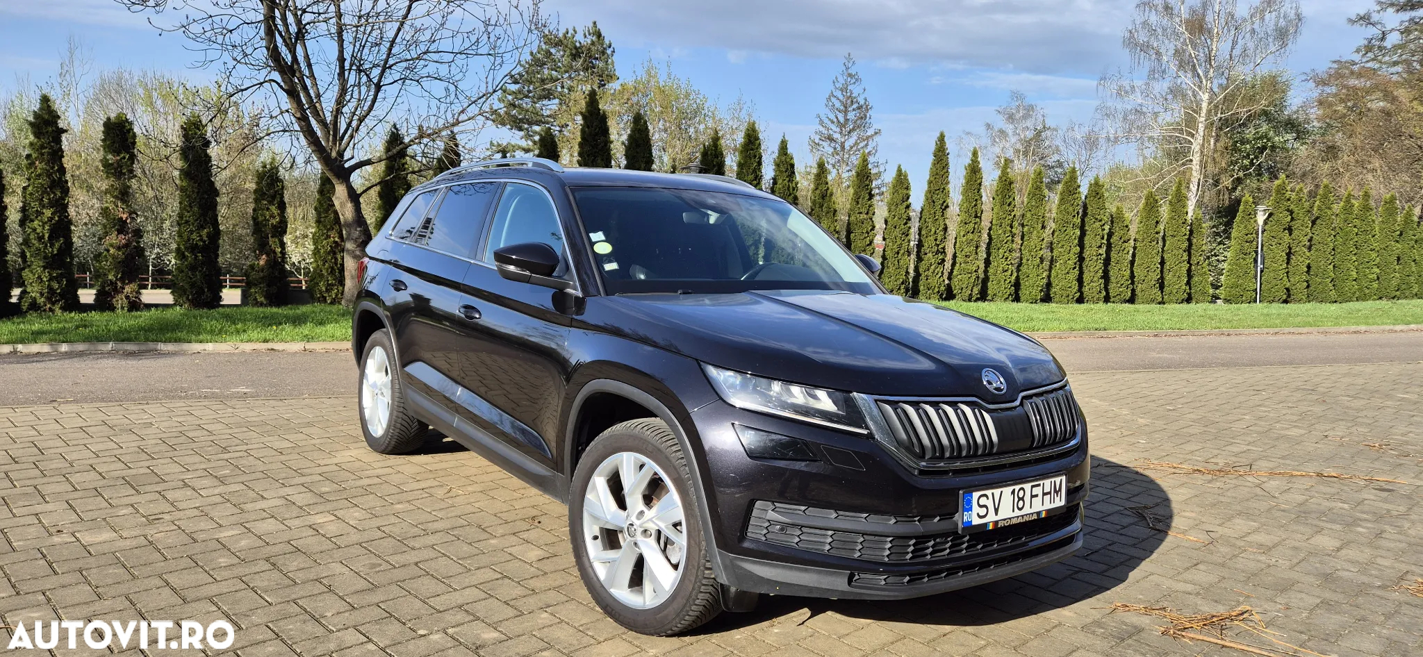 Skoda Kodiaq 2.0 TDI 4X4 DSG Drive 125 - 8