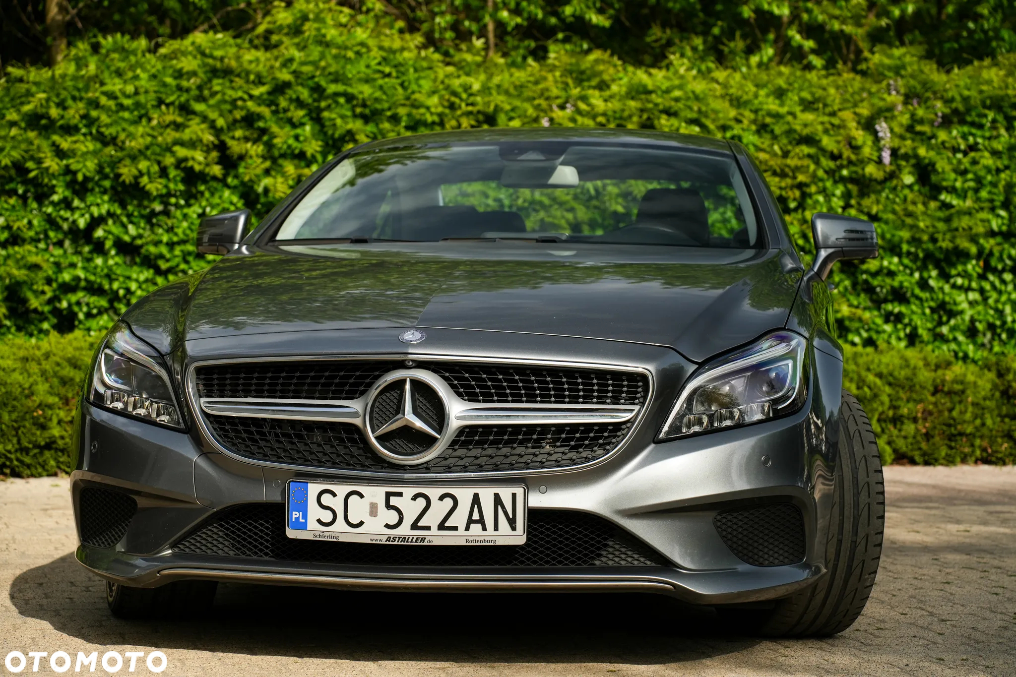Mercedes-Benz CLS 350 (BlueTEC) d - 29