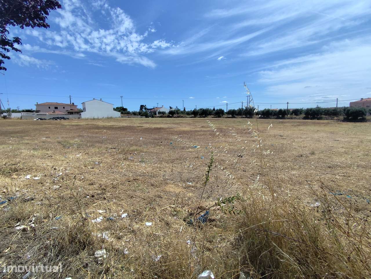 Terreno, 8 760 m², Golegã - Grande imagem: 2/7