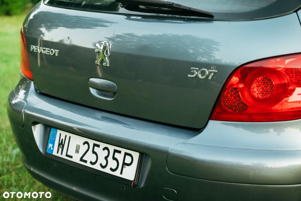 Peugeot 307 1.4 Oxygene - 29