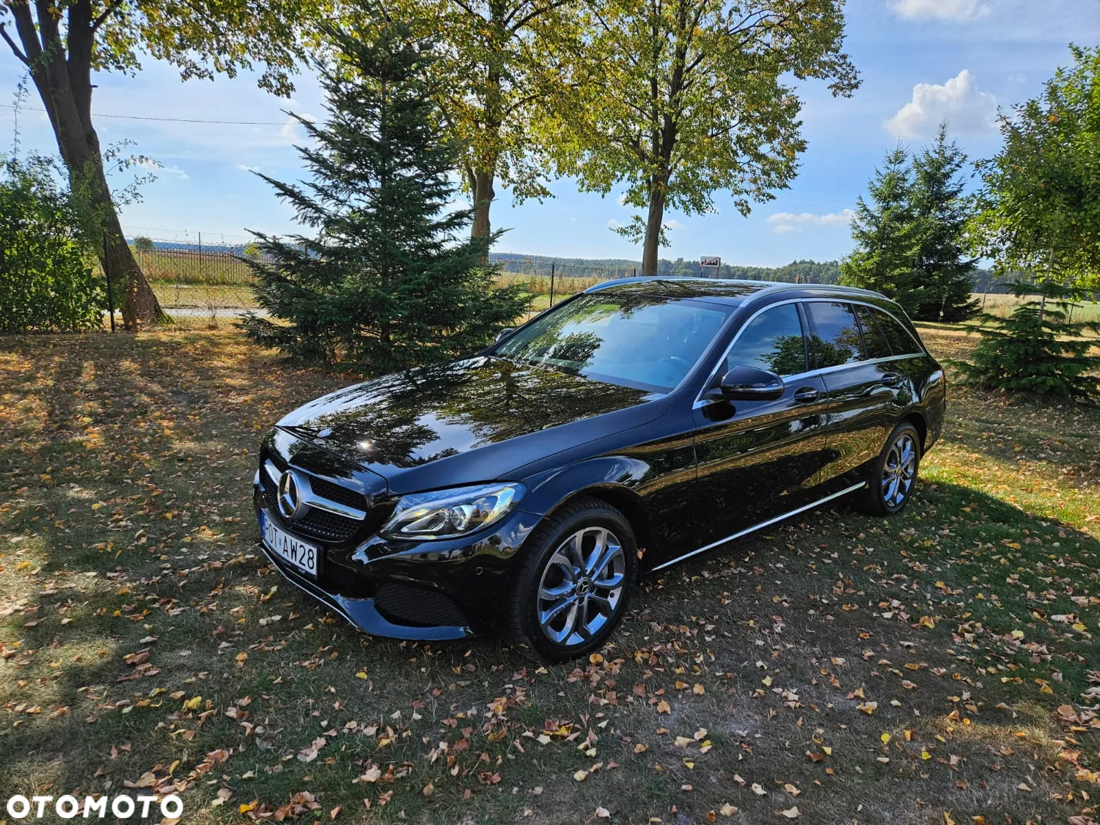 Mercedes-Benz Klasa C 250 d 4-Matic 9G-TRONIC - 11