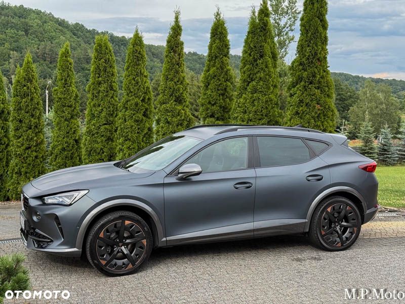 Cupra Formentor 2.0 TDI DSG Tribe Edition - 12