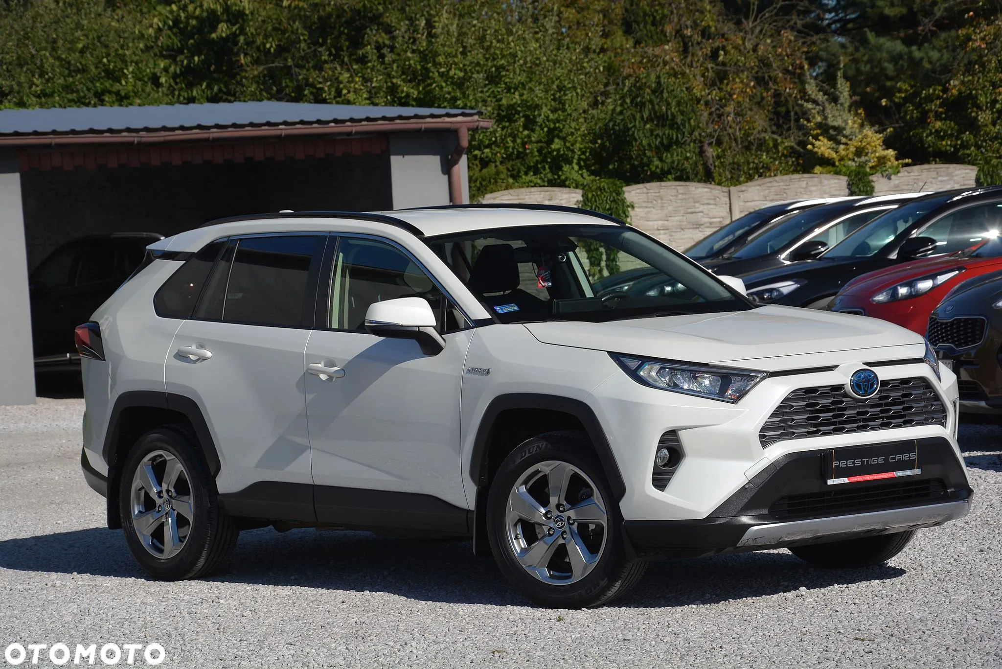 Toyota RAV4 2.5 Hybrid Comfort 4x2 - 3