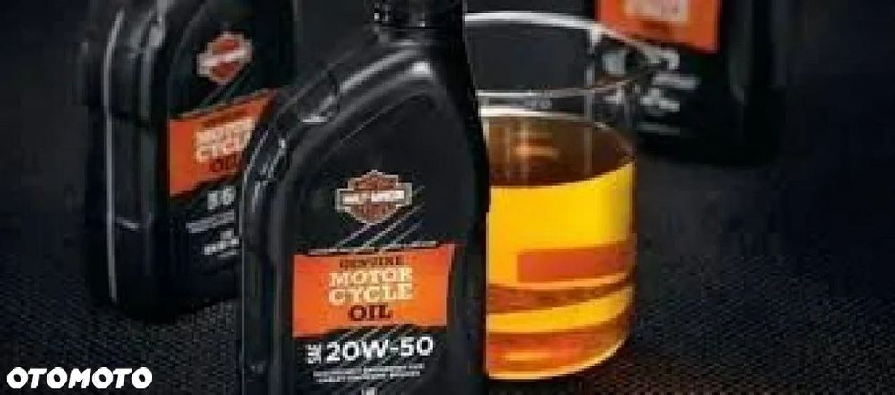 Harley-Davidson Softail Deluxe - 13