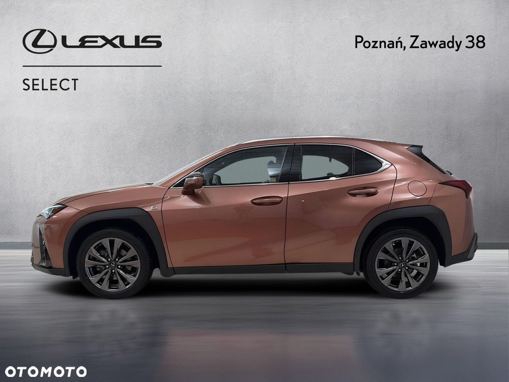 Lexus UX 300h F Sport Design - 5