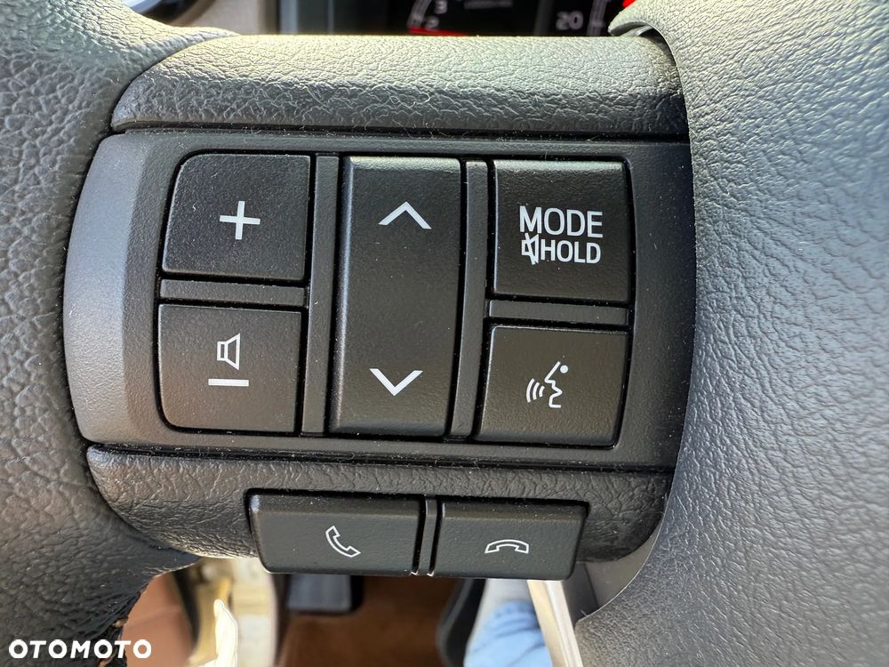 Toyota Land Cruiser - 13