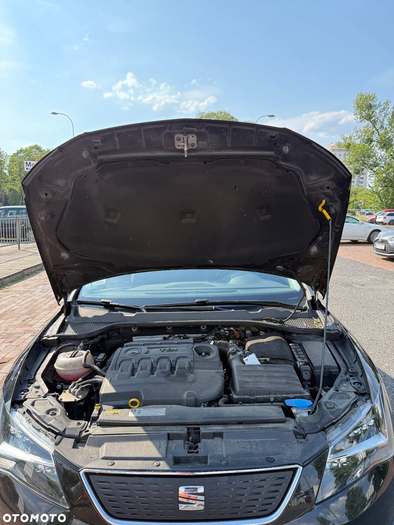 Seat Leon 1.6 TDI Ecomotive Style S&S - 12