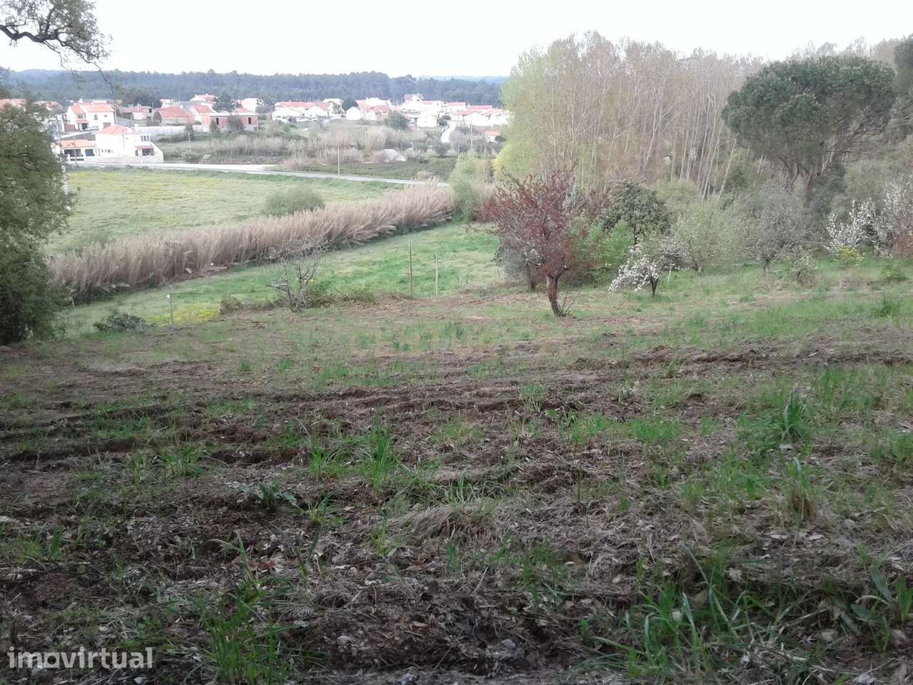 Terreno para Construção - Grande imagem: 2/10