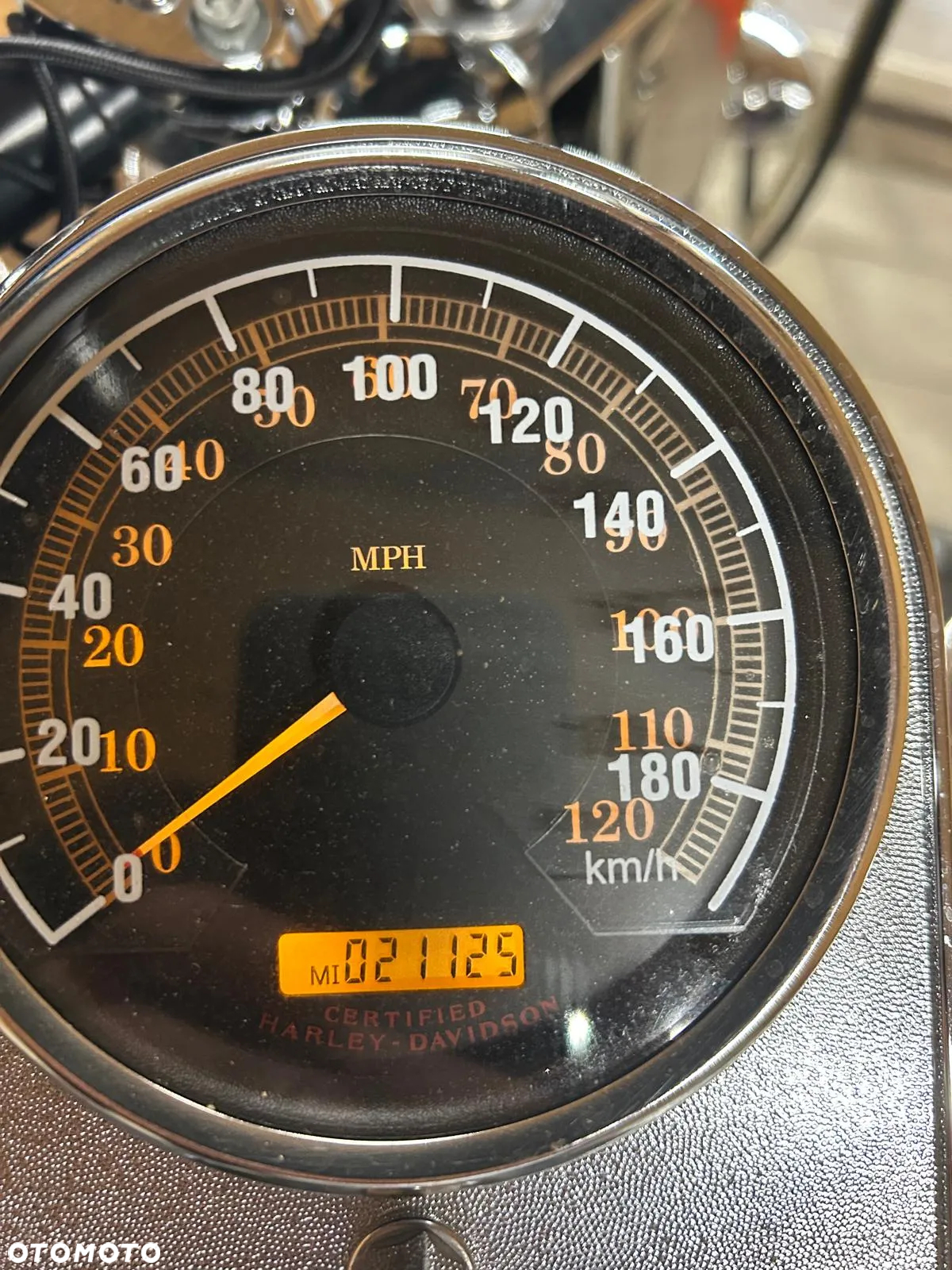 Harley-Davidson Softail - 5