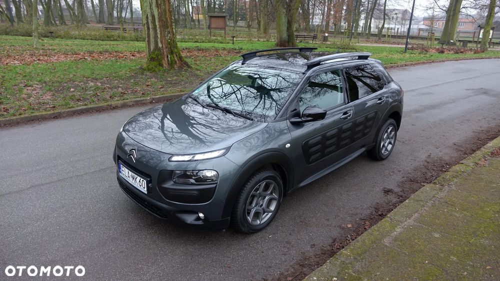 Citroën C4 Cactus 1.6 Blue HDi Shine - 25