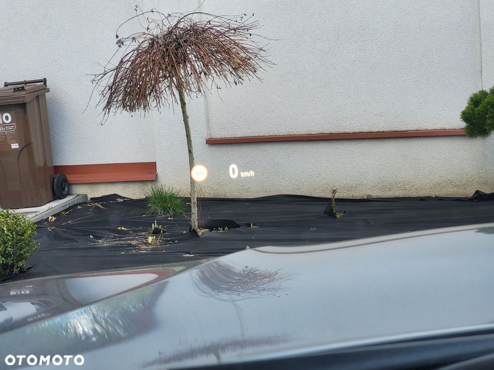 BMW X5 xDrive40d - 38