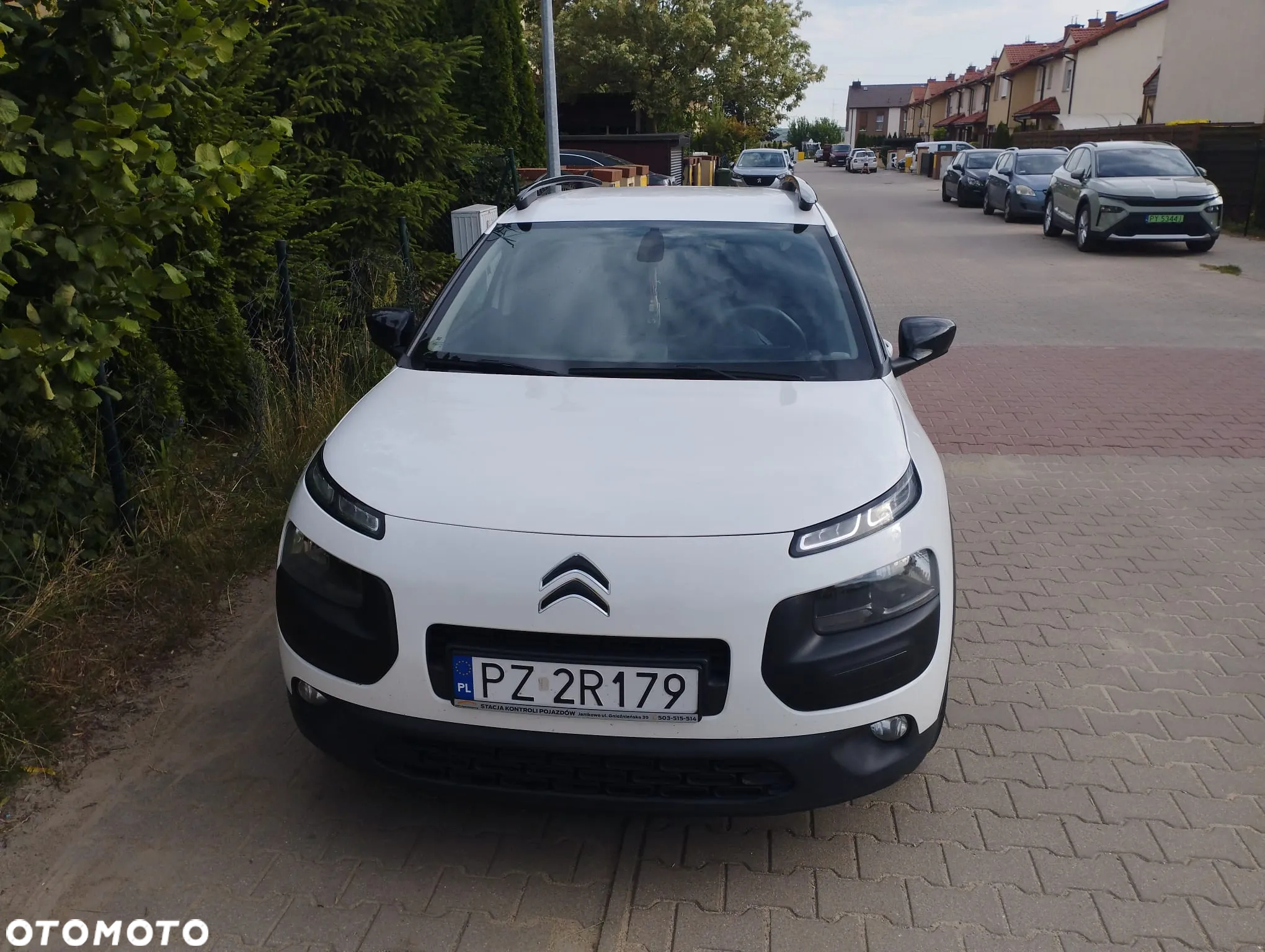 Citroën C4 Cactus 1.2 PureTech Shine S&S - 11