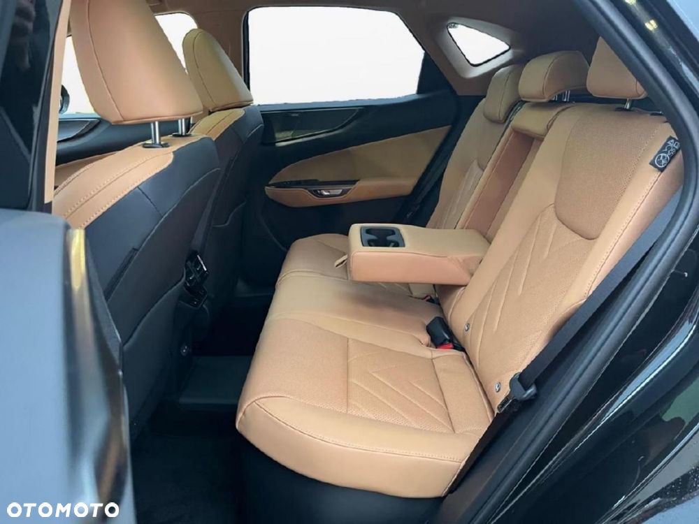 Lexus NX - 12
