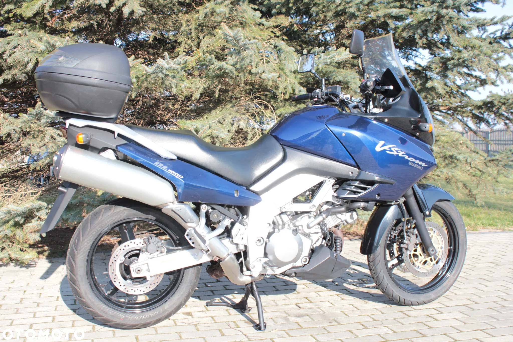 Suzuki DL - 38