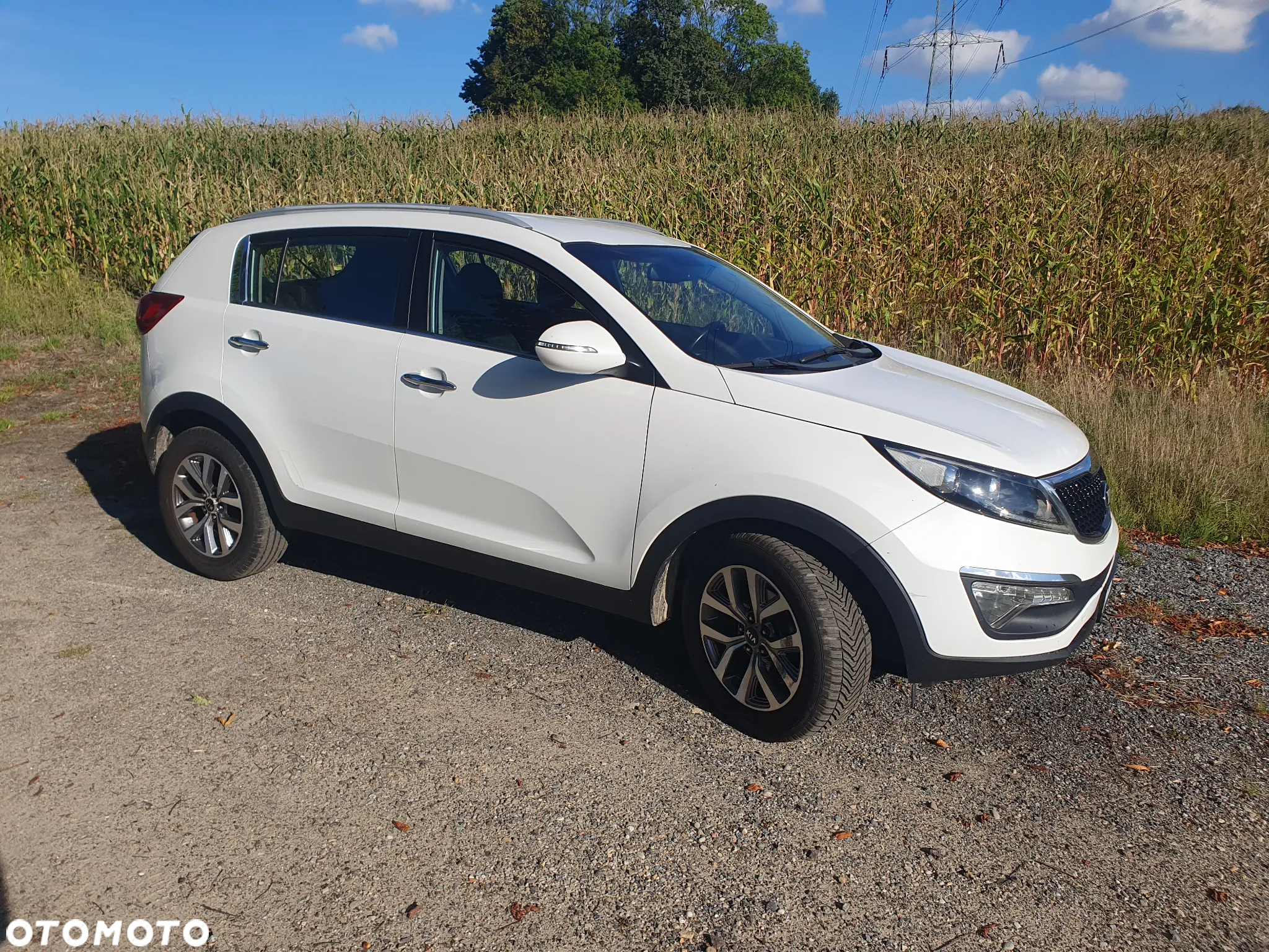 Kia Sportage 1.6 GDI Business Line 2WD - 13