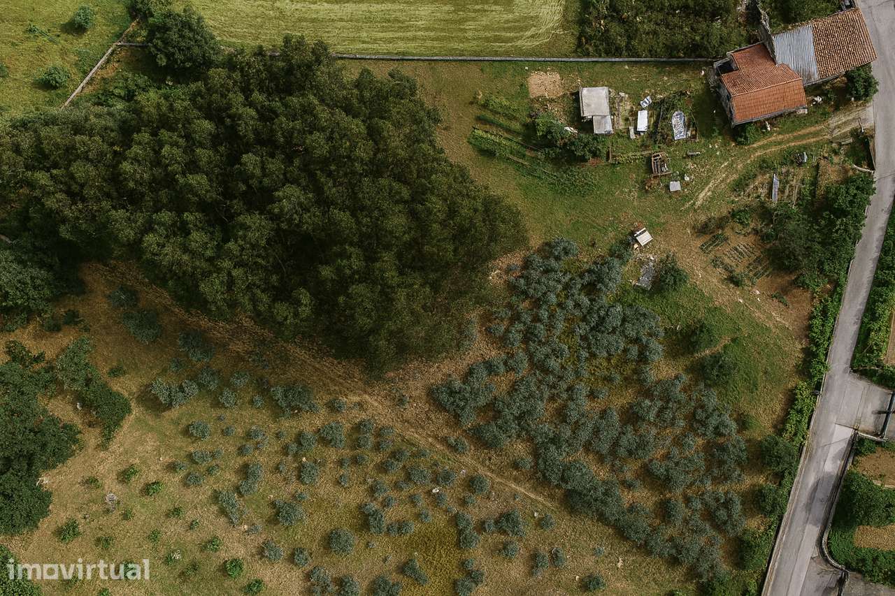 180m2 Edificios em Pedra + 3200m2 Urbanos - Grande imagem: 4/13