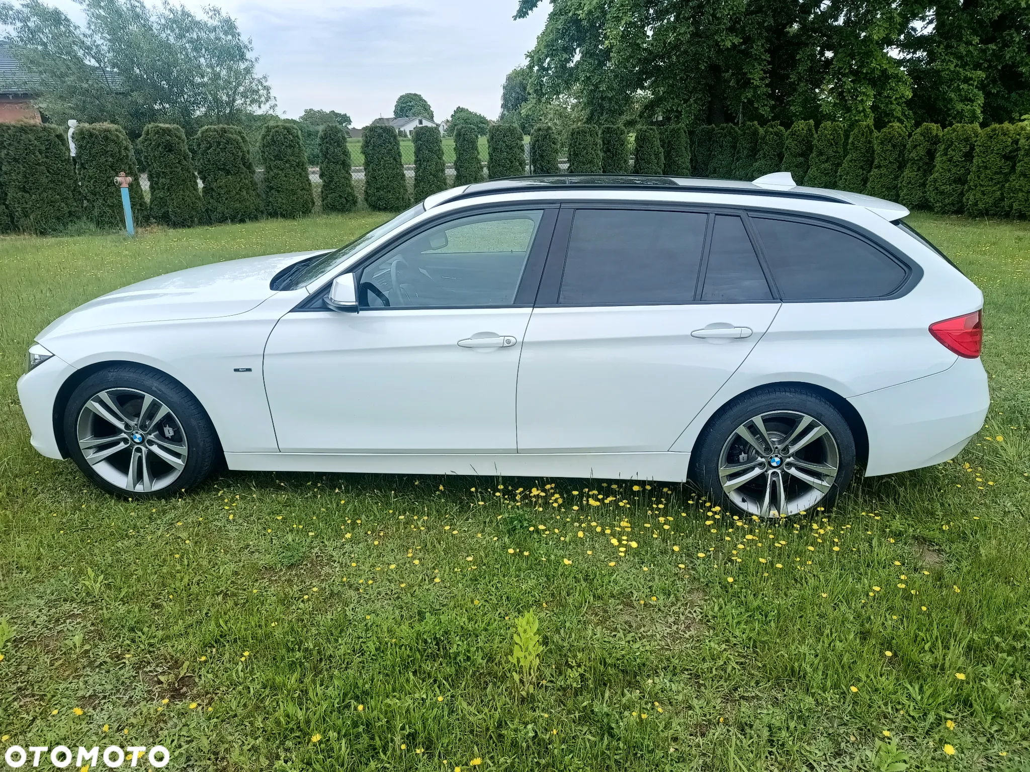 BMW Seria 3 320d Sport Line - 4