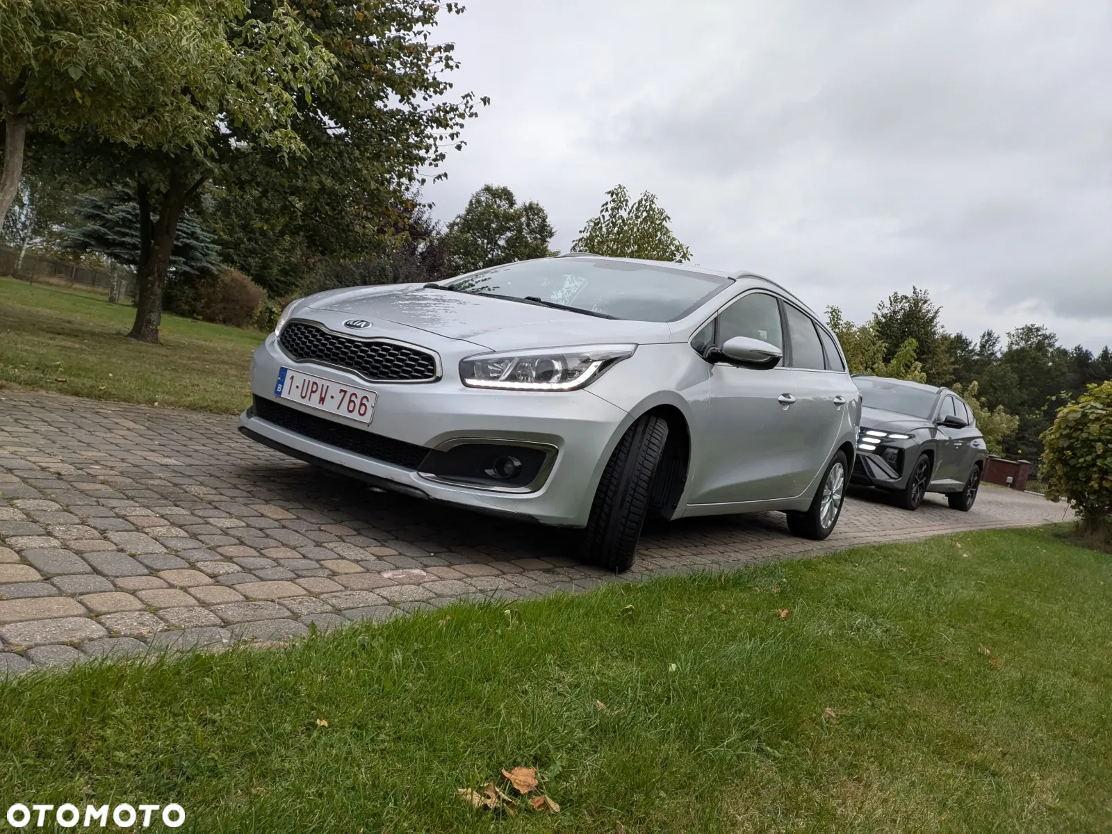Kia Ceed SW 1.6 CRDi Vision - 8
