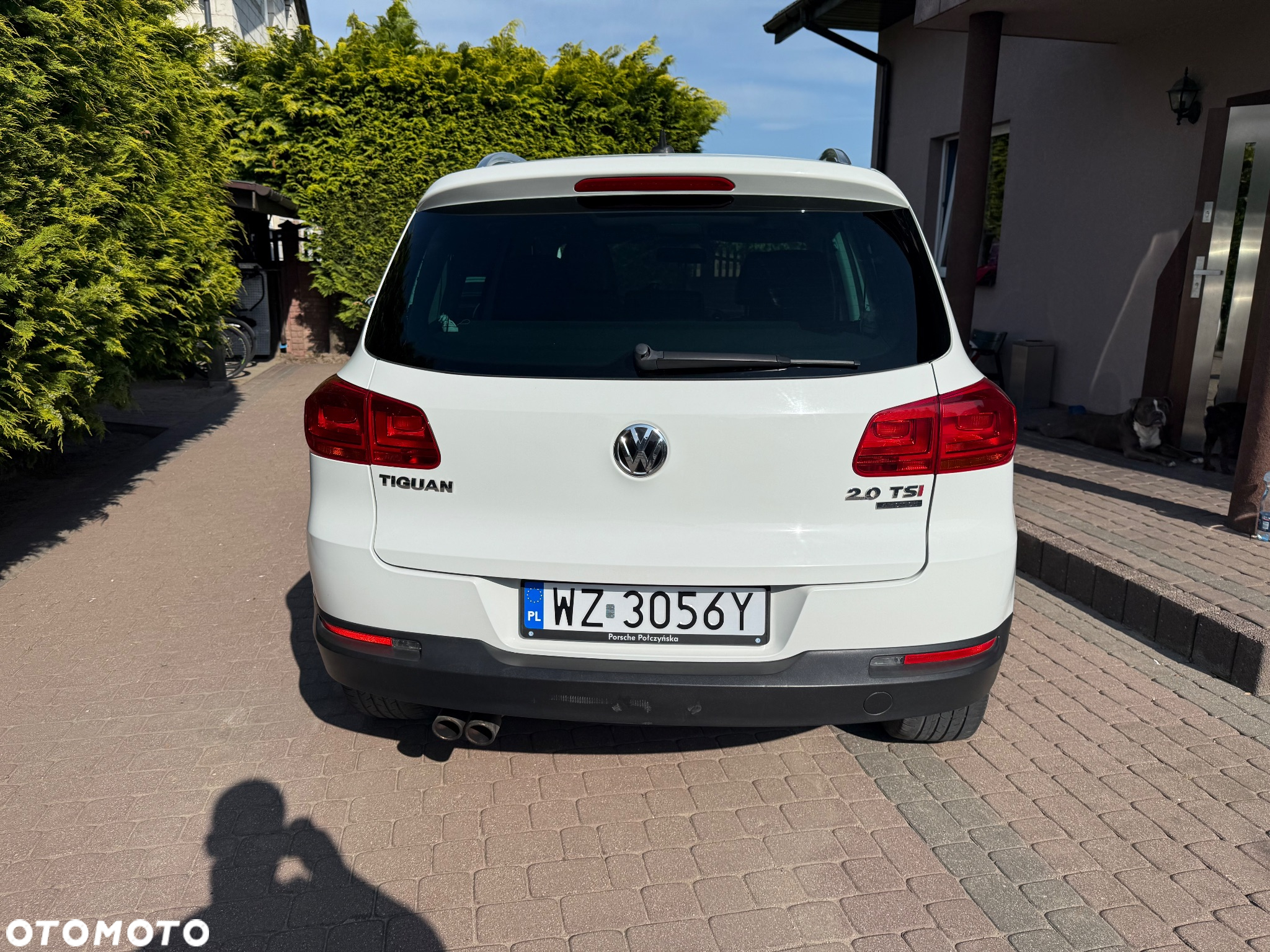 Volkswagen Tiguan - 5