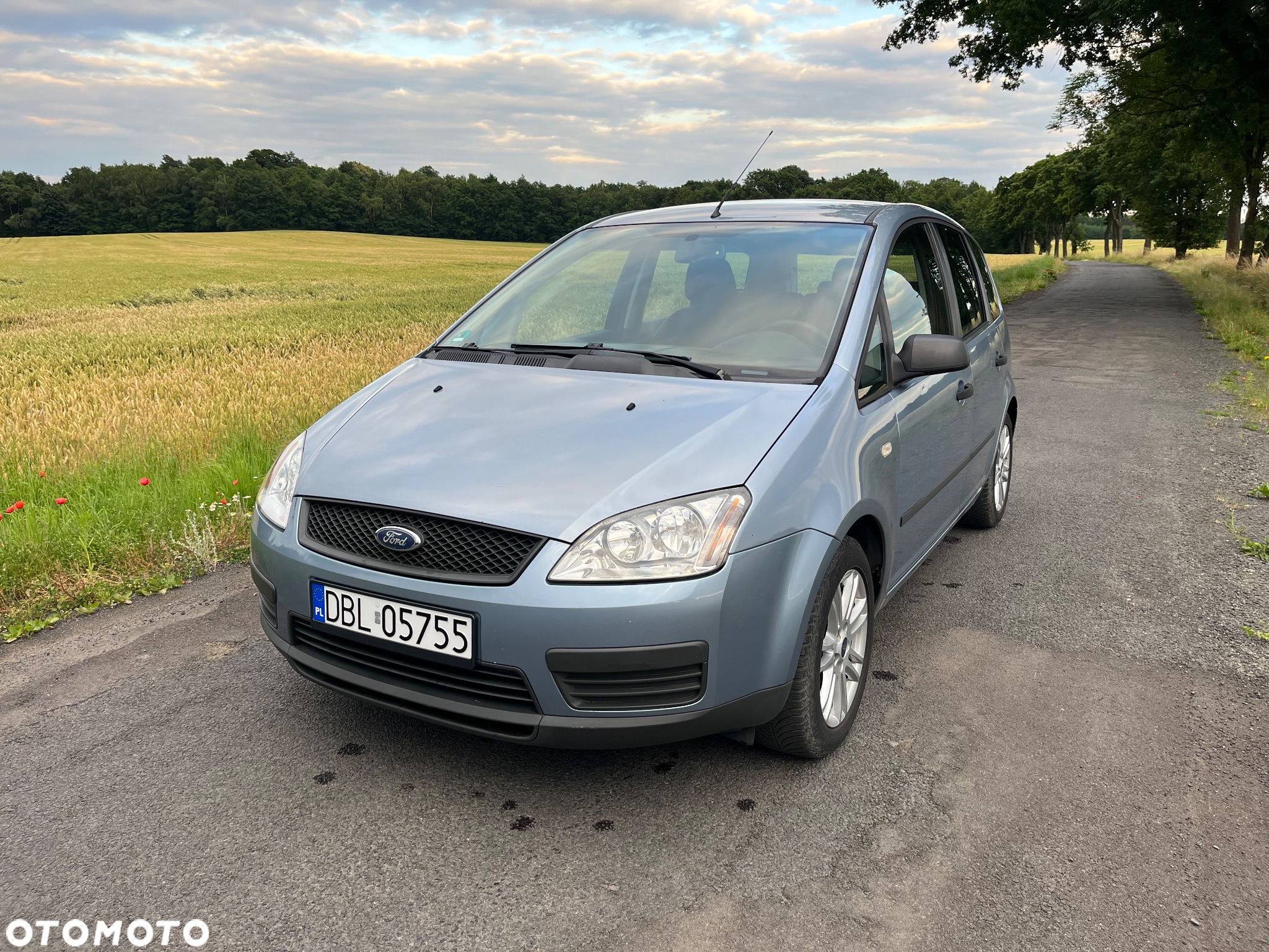 Ford C-MAX - 5
