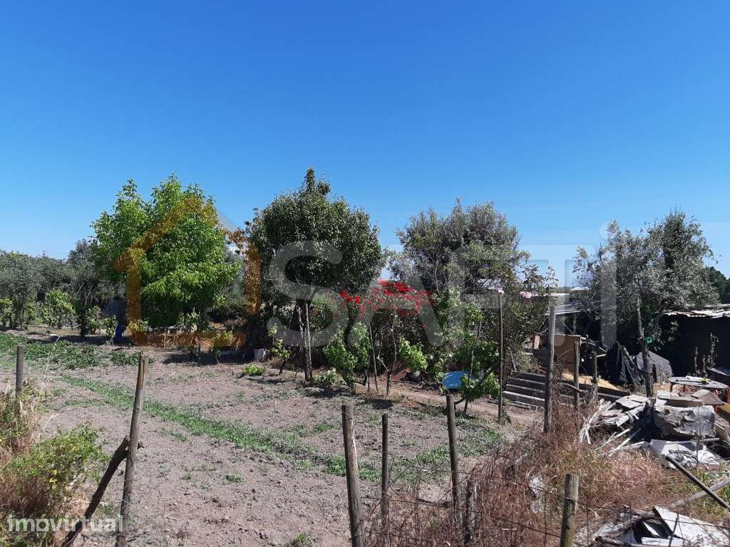 VISEU-NELAS - TERRENO MISTO 7920m2 - OPORTUNIDADE ÚNICA EM CANAS DE... - Grande imagem: 3/4