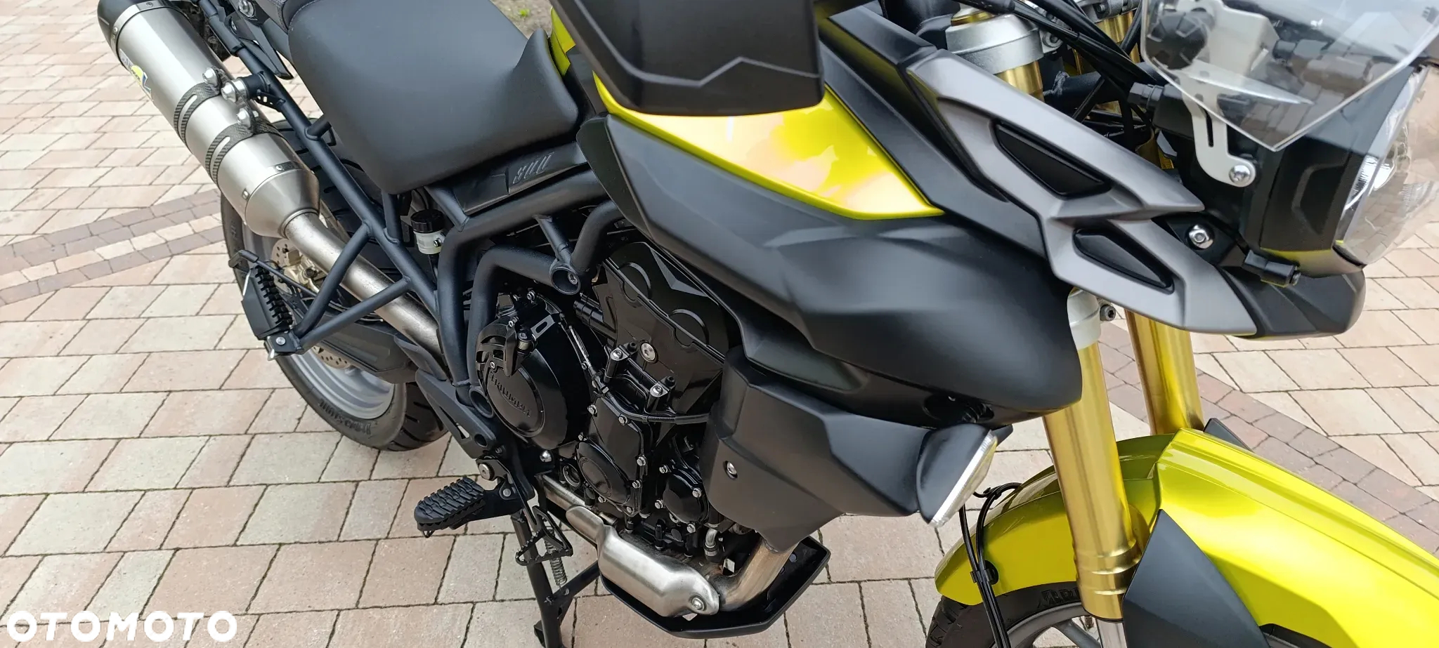 Triumph Tiger - 18