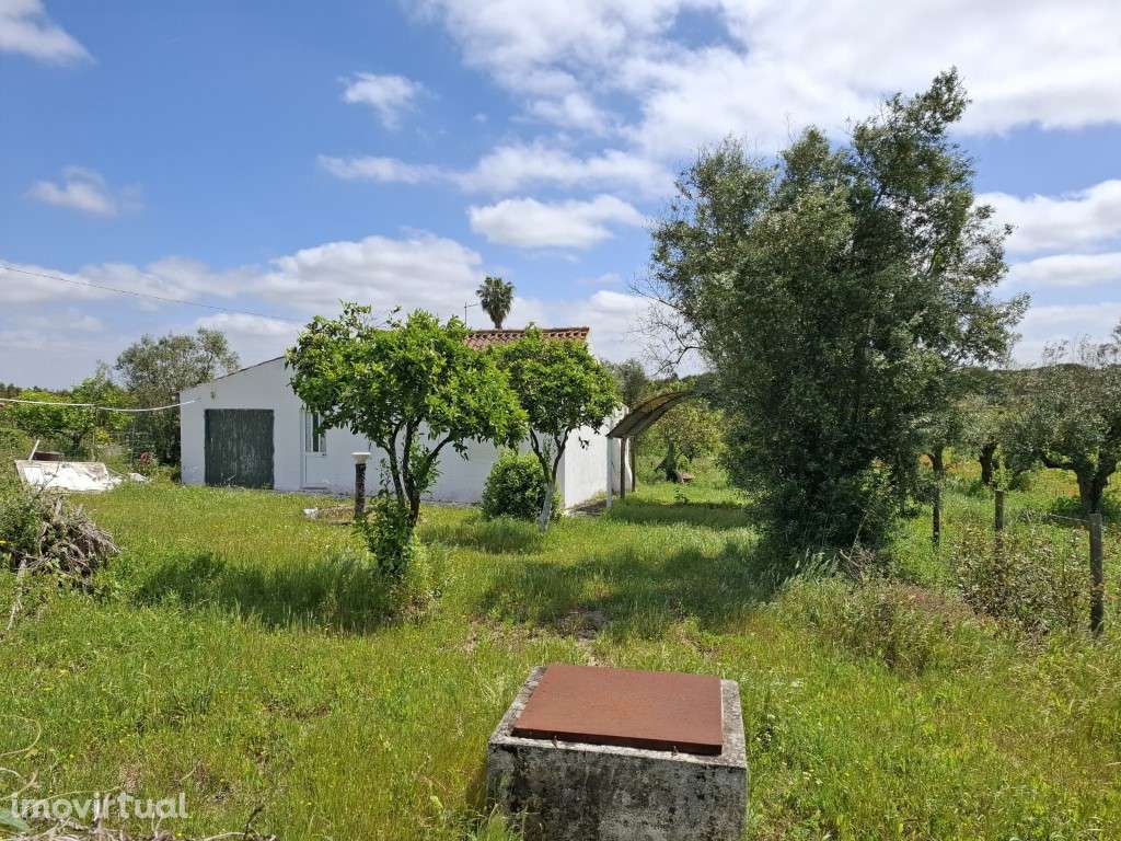 Quintinha nas Fazendas da Arriça - Branca - Grande imagem: 2/25