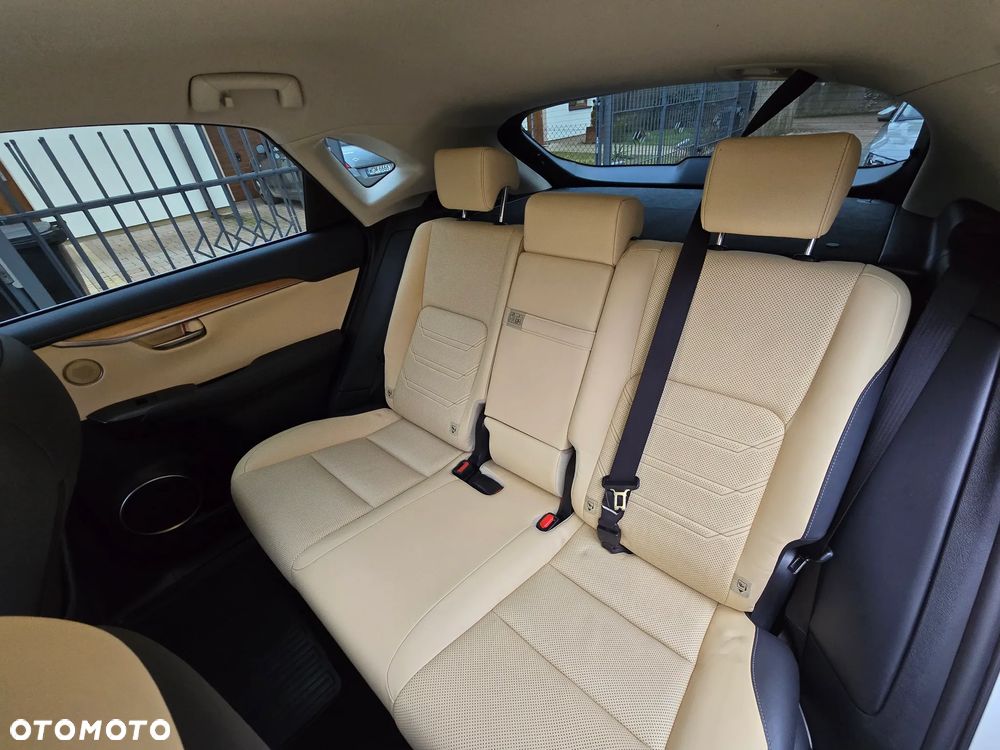 Lexus NX - 16