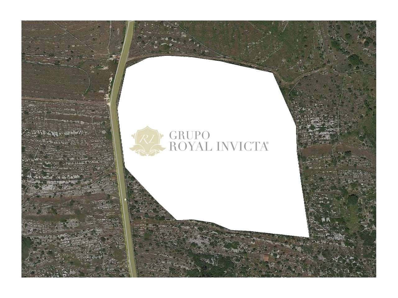 Terreno com 43000 m2 em Alcanena - Santarém - Grande imagem: 2/4